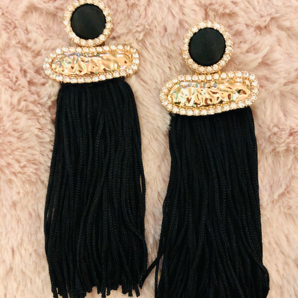 NWOT Gorgeous Zara earrings 😊